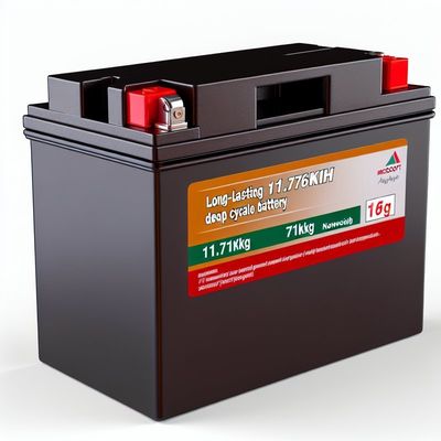 Good price 51.2V 230Ah Golf Cart LiFePO4 Battery with Smart BMS 11.8kWh online